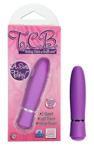 Taking Care of Business Purple Personal Massager SE0063143