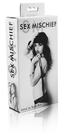 Sex and Mischief Intro to Sex and Mischief Kit Black SS100-31