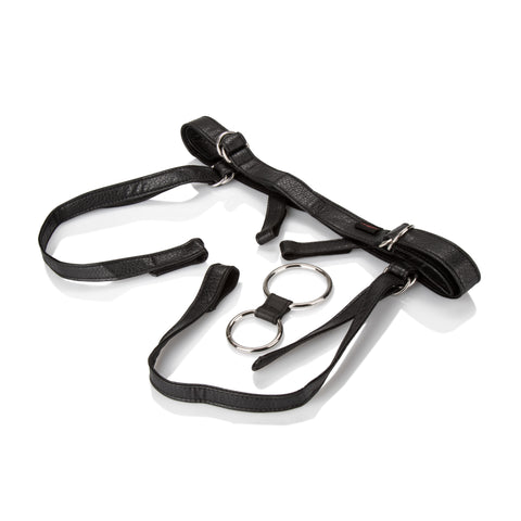 Her Royal Harness - the Dutchess SE1565101