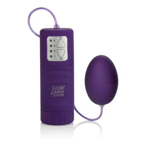 Waterproof Pocket Exotics Waterproof Egg - Purple SE1139202
