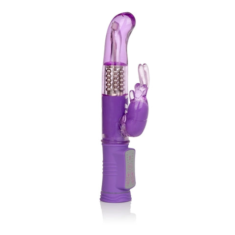 Shanes World Jack Rabbit G - Purple SE0685252