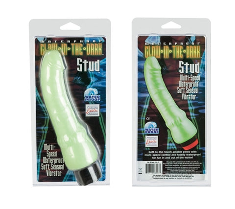 Waterproof Glow in the-Dark Stud Mint SE0746152